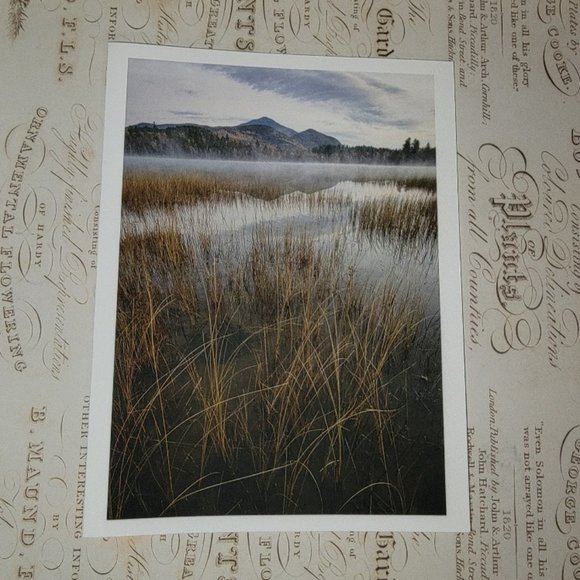 Packet of 8 Notecards - Adirondack Light 2 - Picture 4 of 12